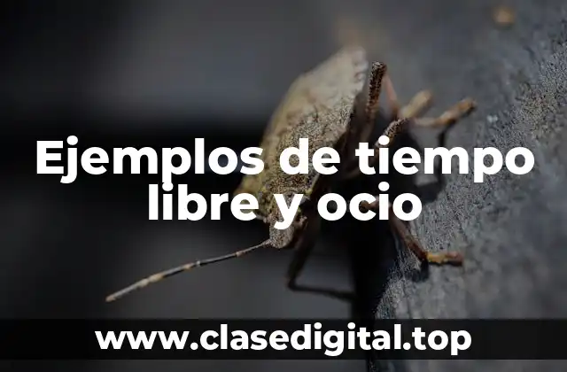 Ejemplos de tiempo libre y ocio