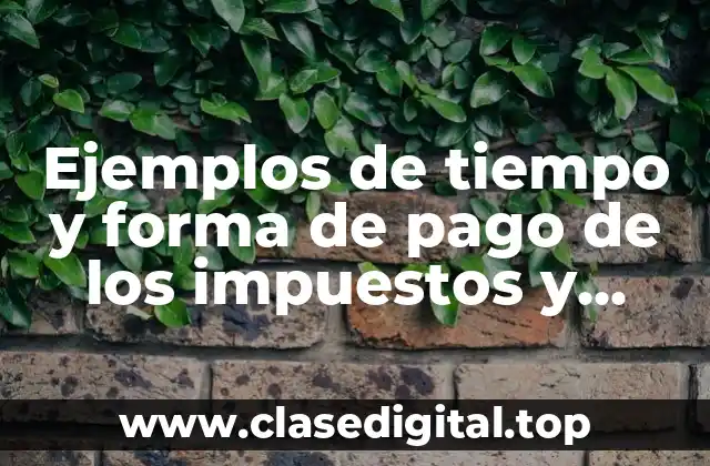 Ejemplos de tiempo y forma de pago de los impuestos y Significado