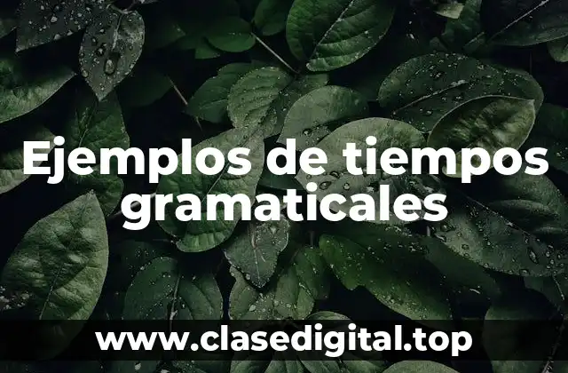 Ejemplos de tiempos gramaticales