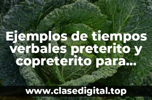 Ejemplos de tiempos verbales preterito y copreterito para niños