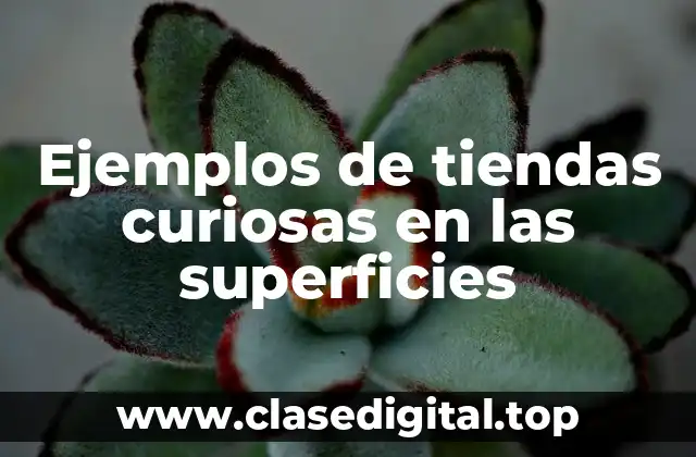 Ejemplos de tiendas curiosas en las superficies