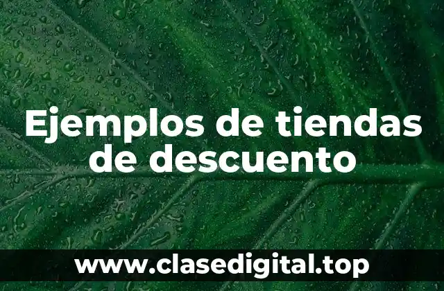 Ejemplos de tiendas de descuento