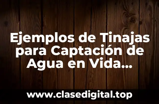 Ejemplos de Tinajas para Captación de Agua en Vida Silvestre