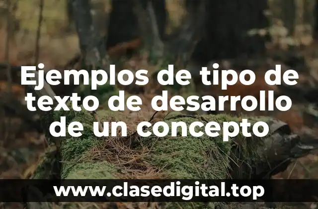 Ejemplos de tipo de texto de desarrollo de un concepto
