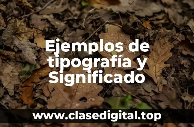 Ejemplos de tipografía y Significado