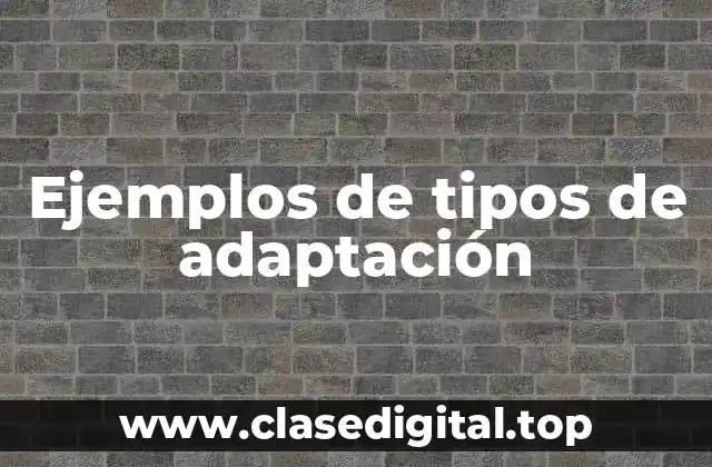 Ejemplos de tipos de adaptación