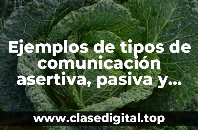Ejemplos de tipos de comunicación asertiva, pasiva y agresiva