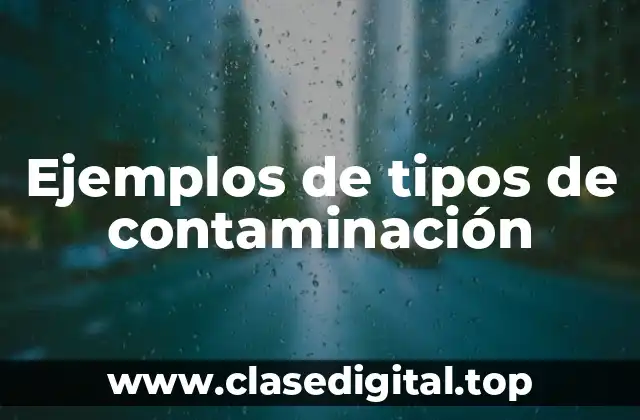 Ejemplos de tipos de contaminación
