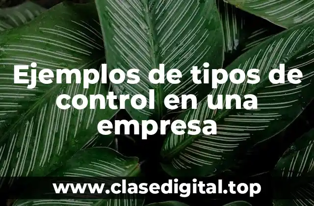 Ejemplos de tipos de control en una empresa