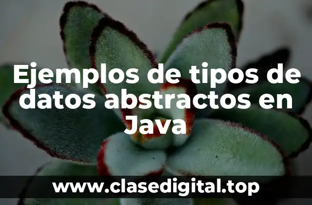 Ejemplos de tipos de datos abstractos en Java