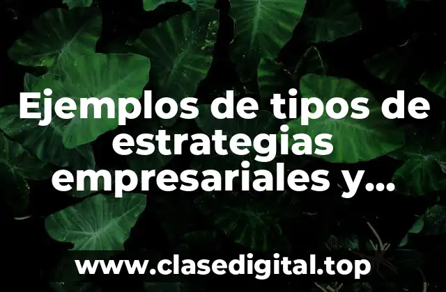 Ejemplos de tipos de estrategias empresariales y Significado