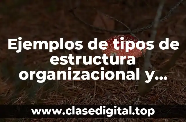 Ejemplos de tipos de estructura organizacional