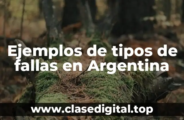 Ejemplos de tipos de fallas en Argentina