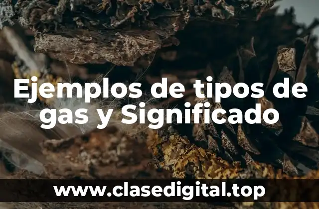 Ejemplos de tipos de gas y Significado