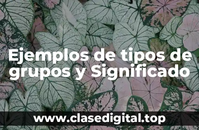 Ejemplos de tipos de grupos y Significado