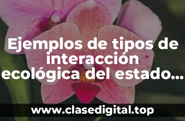 Ejemplos de tipos de interacción ecológica del estado de México