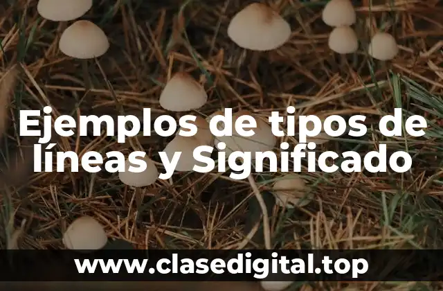 Ejemplos de tipos de líneas y Significado
