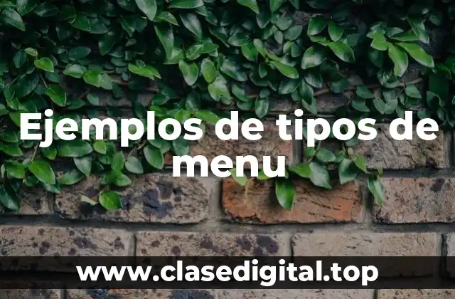 Ejemplos de tipos de menu