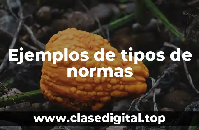 Ejemplos de tipos de normas