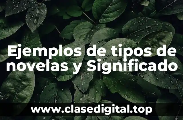 Ejemplos de tipos de novelas y Significado