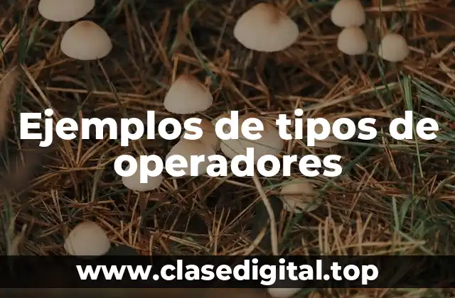 Ejemplos de tipos de operadores