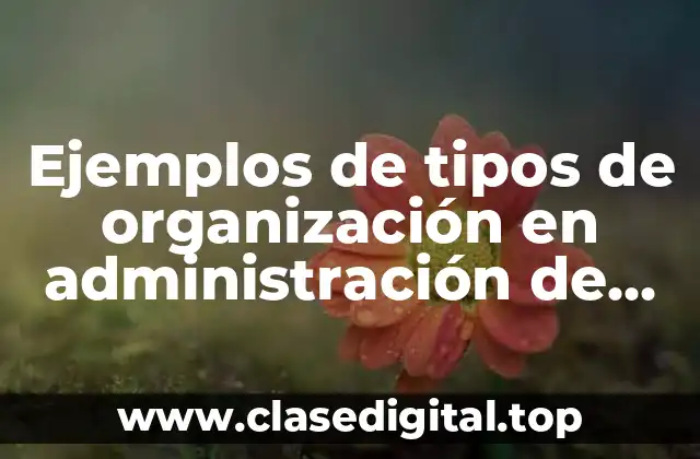 Ejemplos de tipos de organización en administración de un hospital y Significado