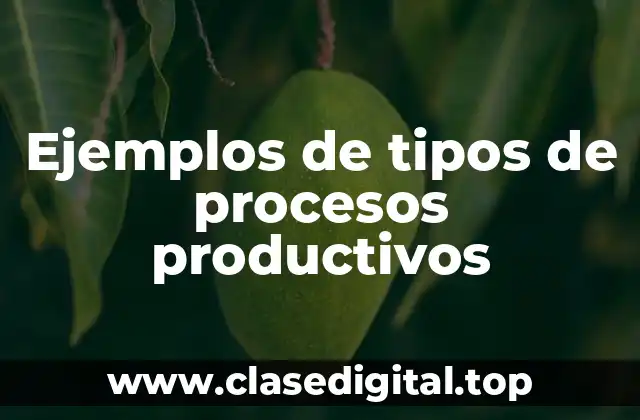 Ejemplos de tipos de procesos productivos