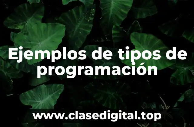 Ejemplos de tipos de programación