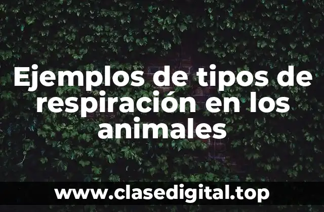 Ejemplos de tipos de respiración en los animales