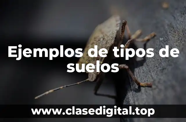 Ejemplos de tipos de suelos