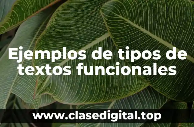 Ejemplos de textos funcionales