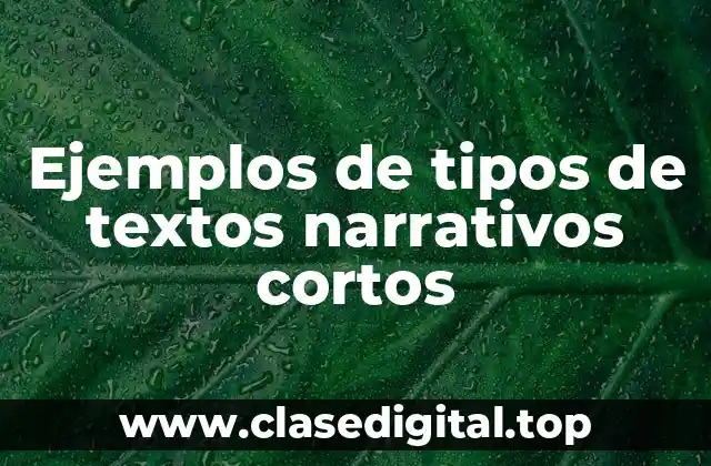 Ejemplos de tipos de textos narrativos cortos