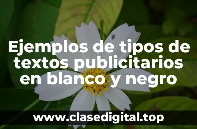 Ejemplos de tipos de textos publicitarios en blanco y negro