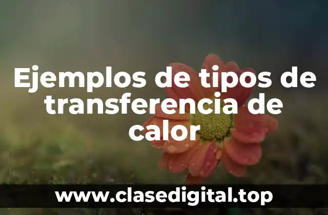 Ejemplos de tipos de transferencia de calor