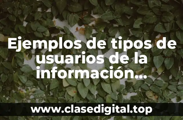 Ejemplos de tipos de usuarios de la información financiera y Significado