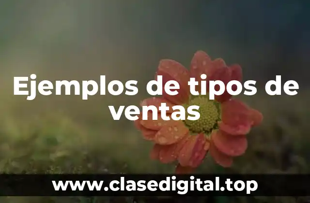 Ejemplos de tipos de ventas