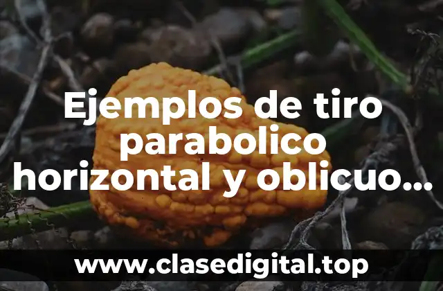 Ejemplos de tiro parabolico horizontal y oblicuo y Significado
