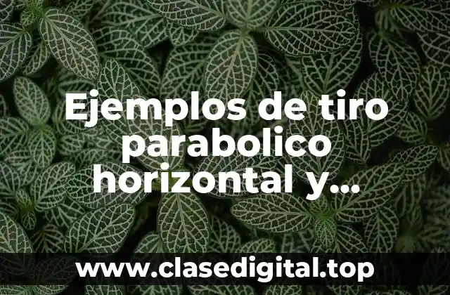 Ejemplos de tiro parabolico horizontal y Significado