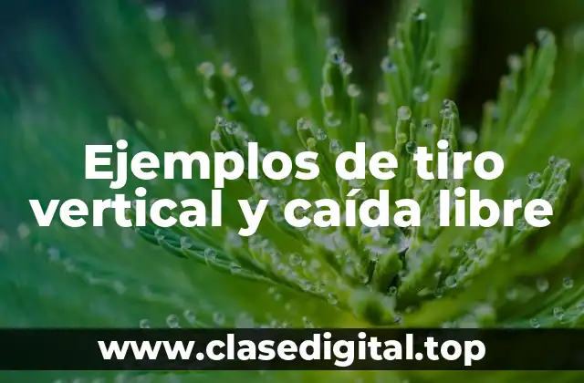 Ejemplos de tiro vertical y caída libre