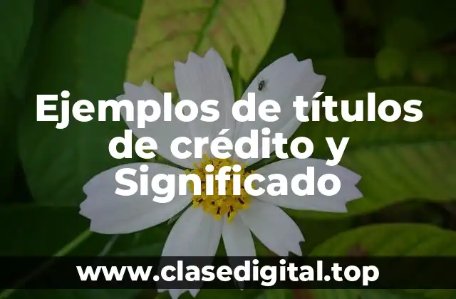 Ejemplos de títulos de crédito y Significado