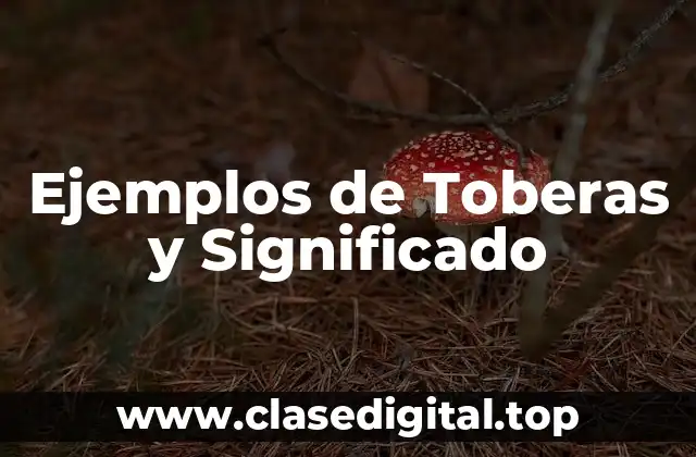Ejemplos de Toberas y Significado