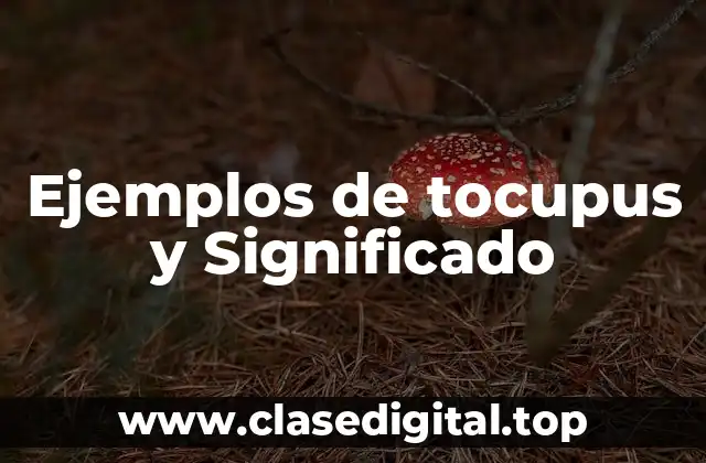 Ejemplos de tocupus y Significado