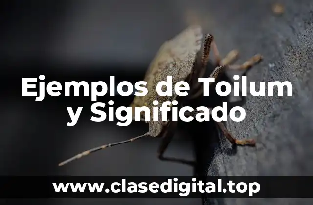Ejemplos de Toilum y Significado