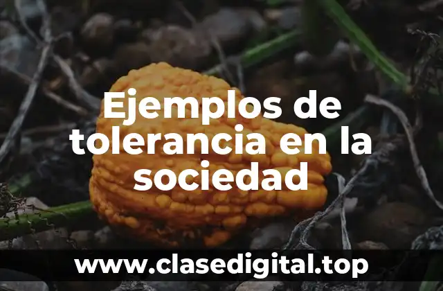 Ejemplos de tolerancia en la sociedad