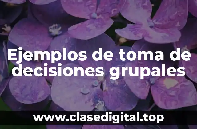 Ejemplos de toma de decisiones grupales