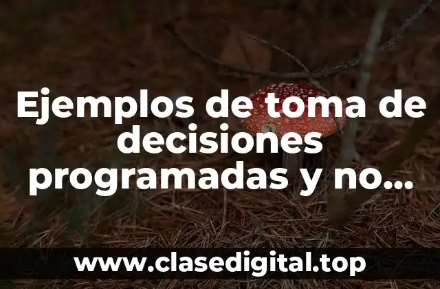 Ejemplos de toma de decisiones programadas y no programadas