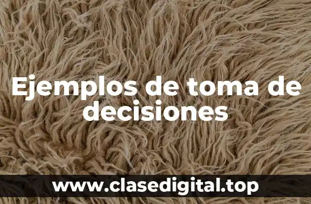 Ejemplos de toma de decisiones