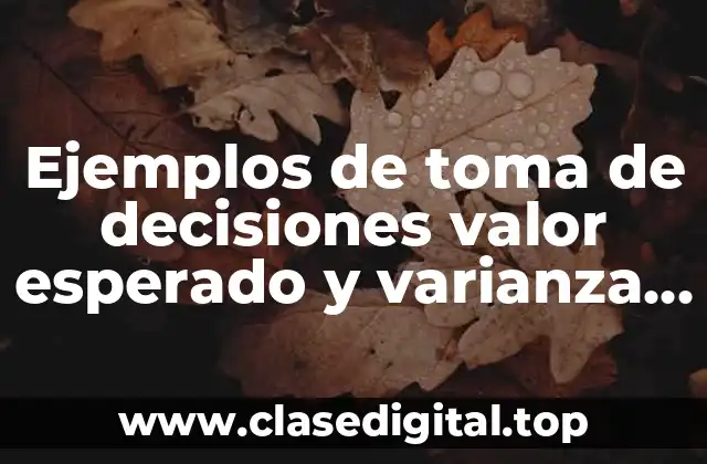 Ejemplos de toma de decisiones valor esperado y varianza combinados