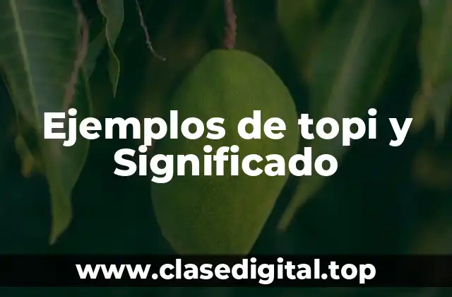 Ejemplos de topi y Significado