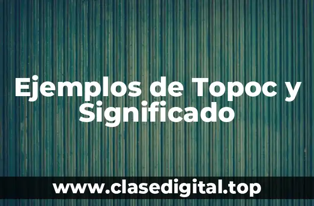 Ejemplos de Topoc